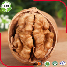 "Xin Jiang"High Quality Walnuts/ Walnuts